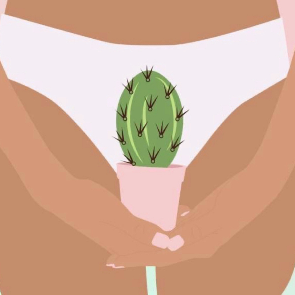 Brazilian Wax at So Waxxed, LLC. in Peoria, AZ