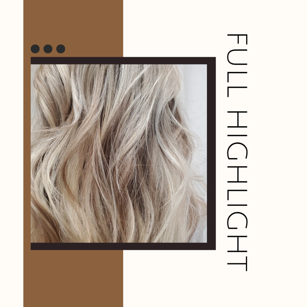 Full Highlight