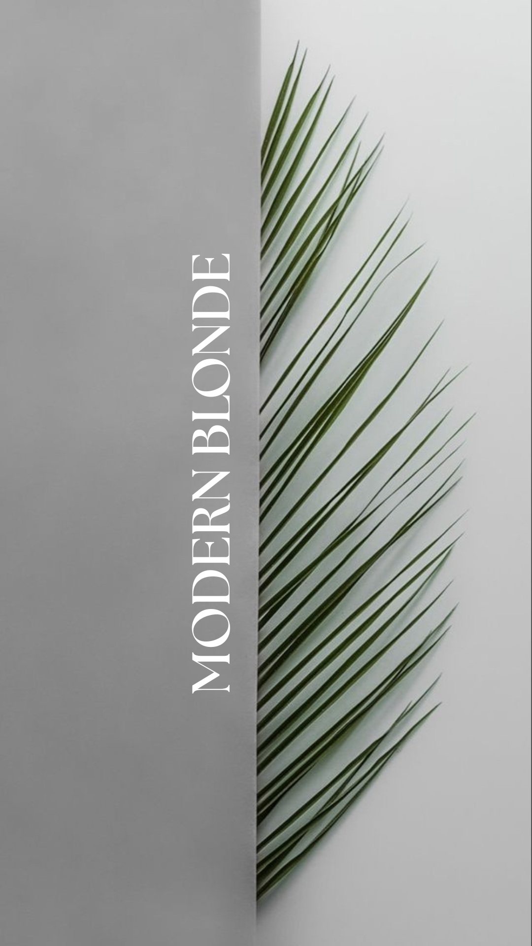 Modern Blonding & Cut