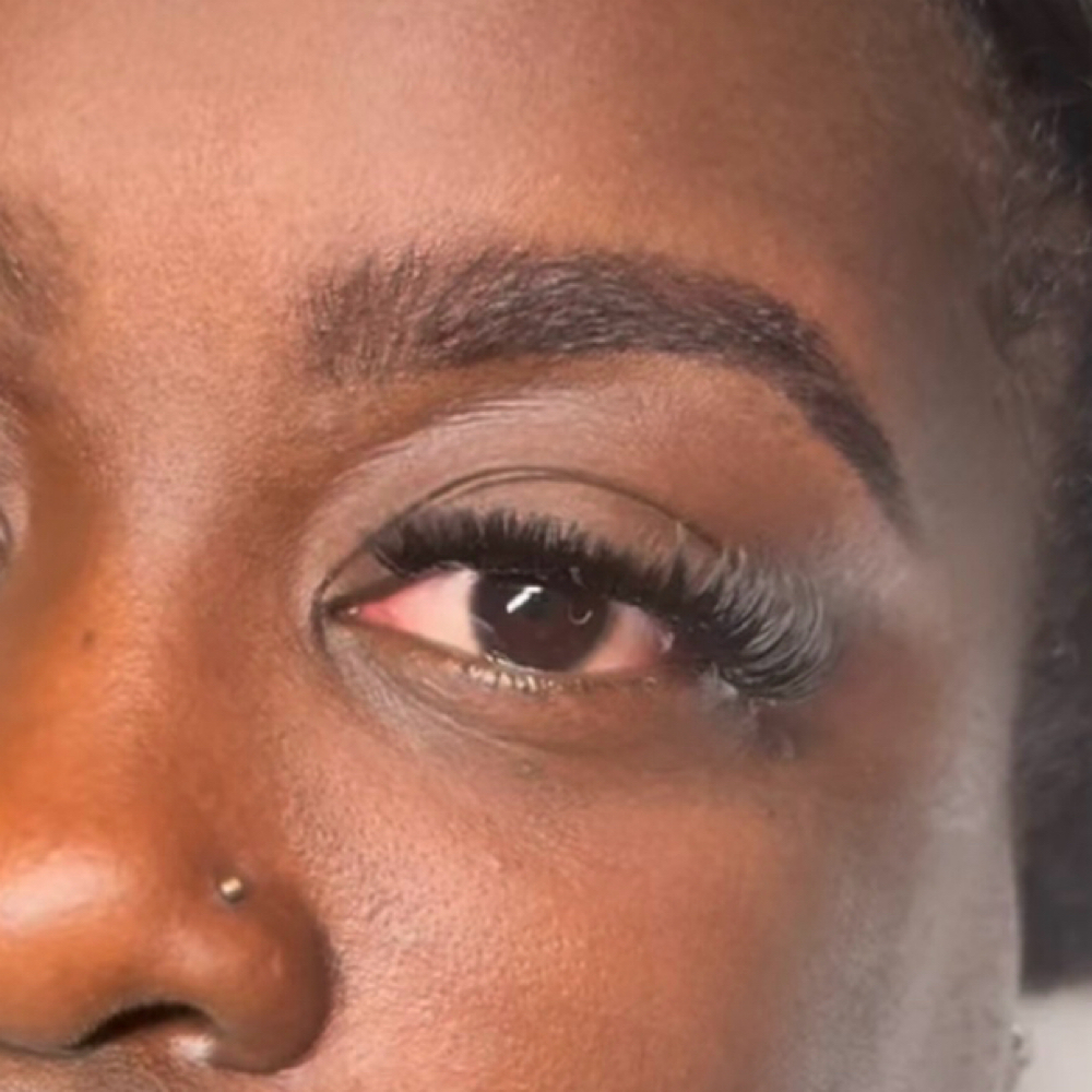 Brow Tint + Brow Lamination at Maurika Beauty in Jacksonville, FL
