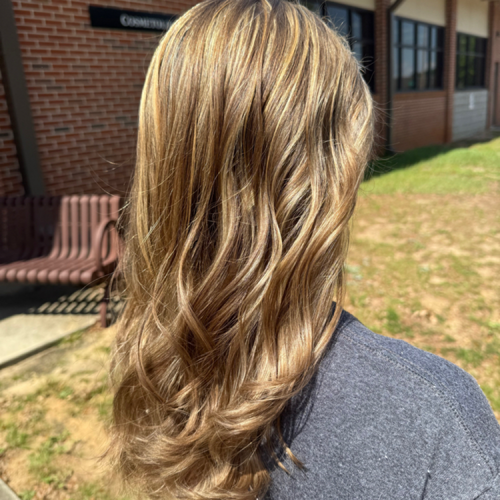 Partial Highlight at Salon Soleil in Taylor, AL