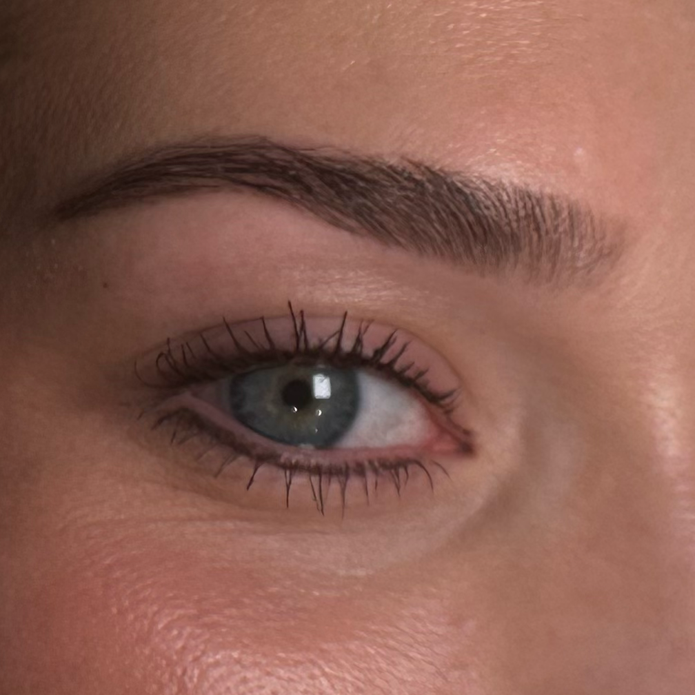Brow Wax (Repeat Clients Only) at KC Glow Beauty Co. in Overland Park, KS