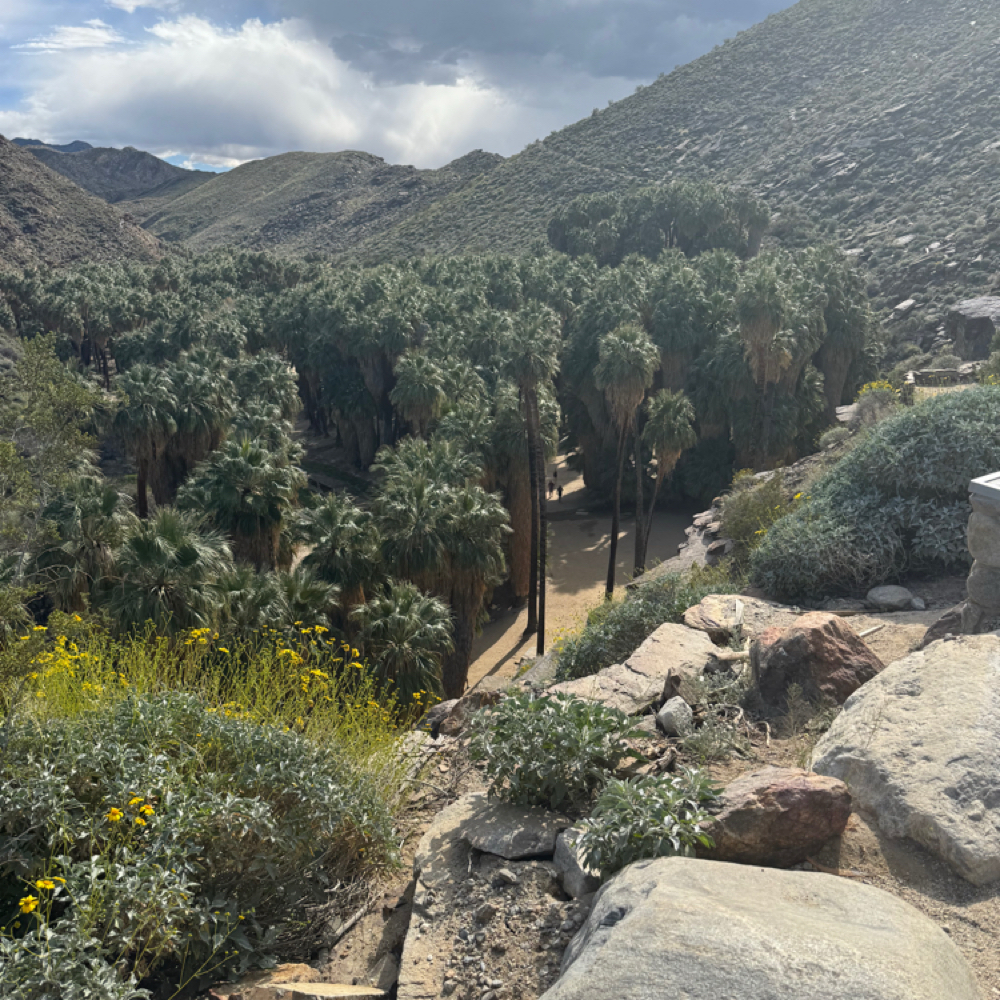Hair Extension Installation at Indigo Salon @ Beaumont in Lexington, KY