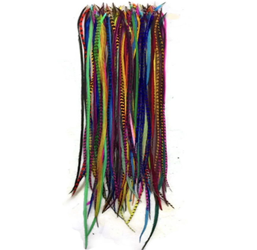 Hair Feather ($6 One Or $15 Three)