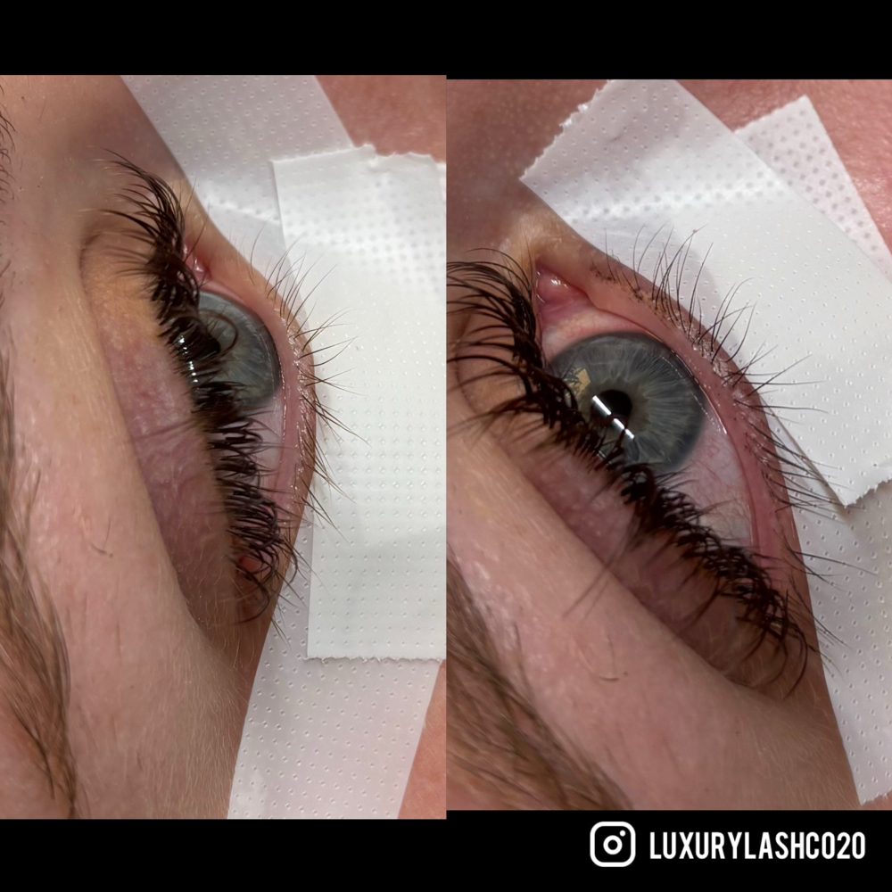 Bottom Lash Tint