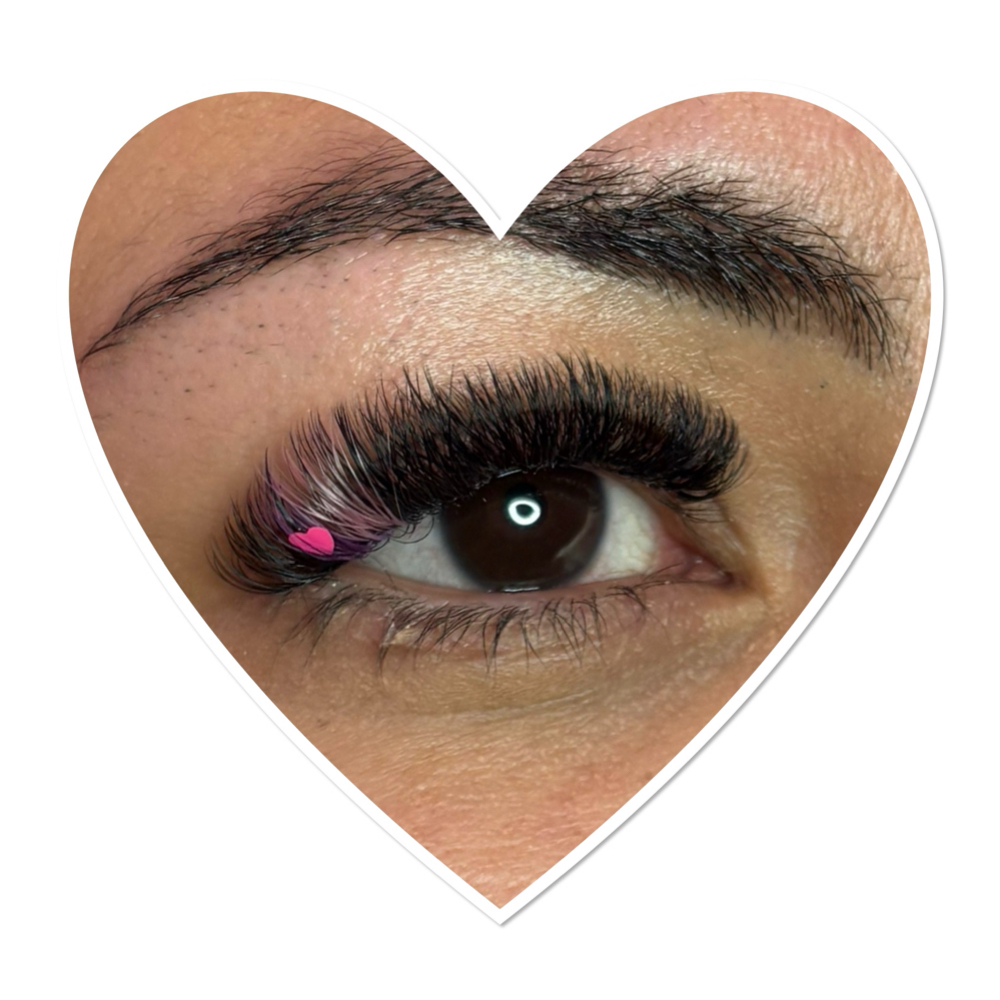 Regular Fill at Twisted Lash in Reno, NV