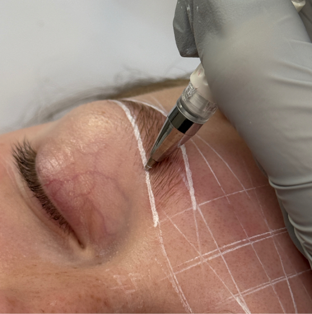 Eyebrow Wax & Map at Bliss Beauty Bar in Stone Ridge, NY