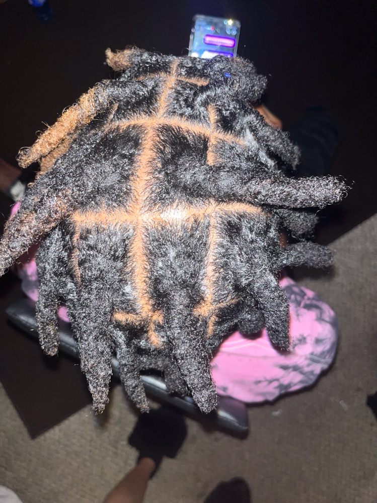 Wick (thick locs) Maintenance