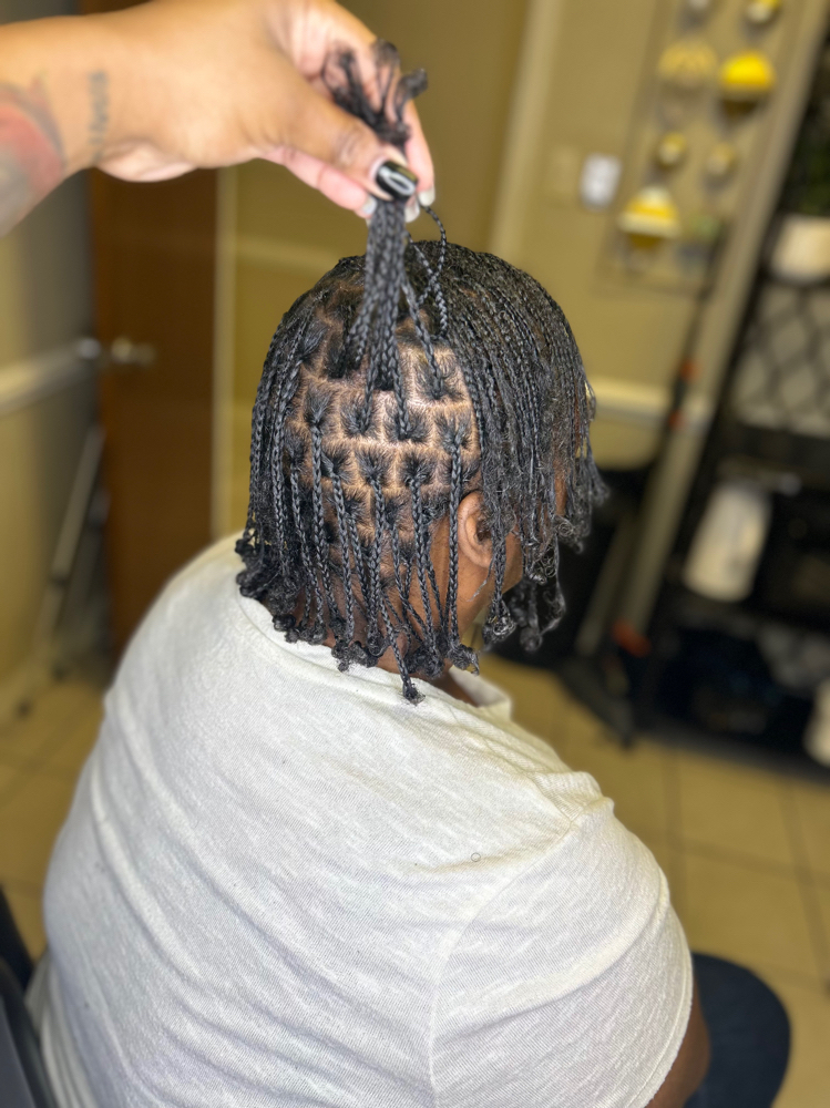 Individual Plait Braids