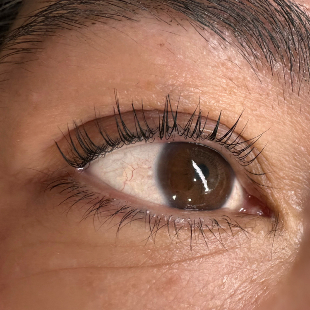Korean lash lift