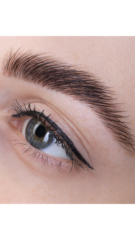 Brow Lamination + Tint + Wax
