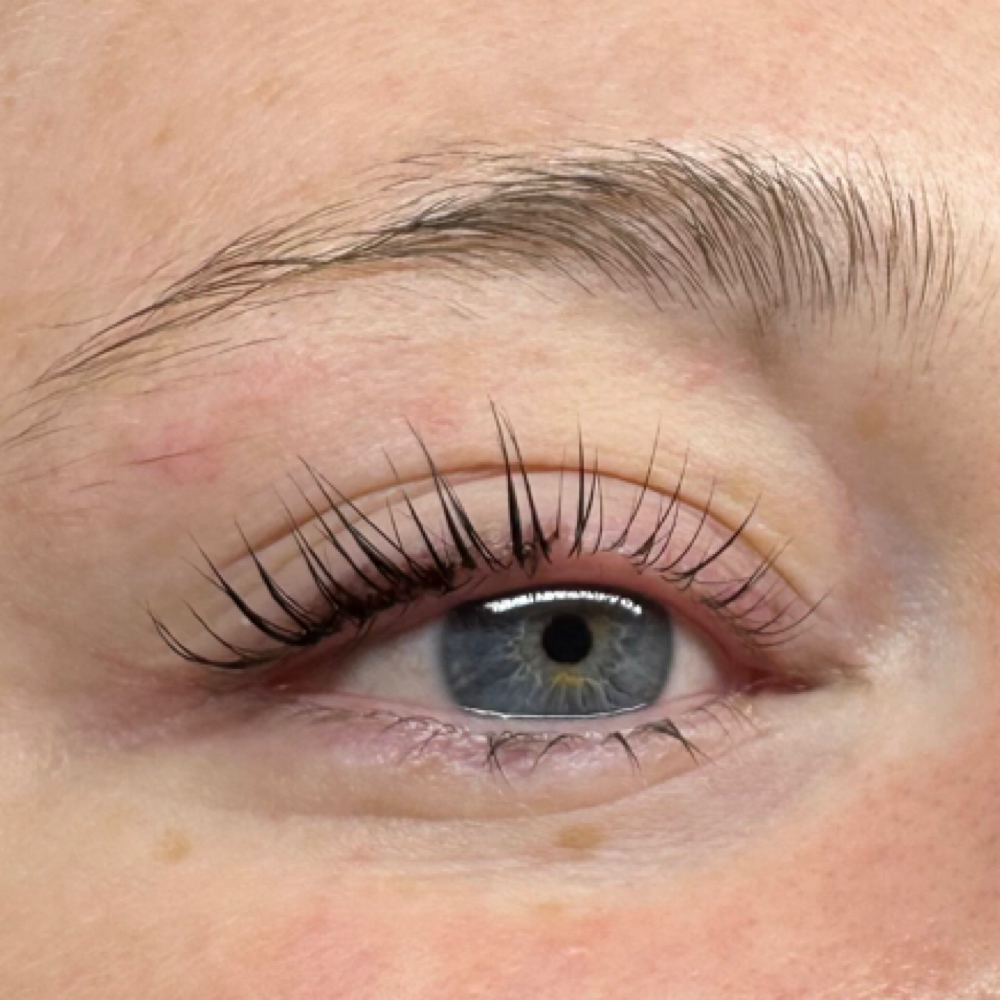Lash Tint at Bashful MK Beauty - In Haus Of Luxe Salon in Roseville, CA
