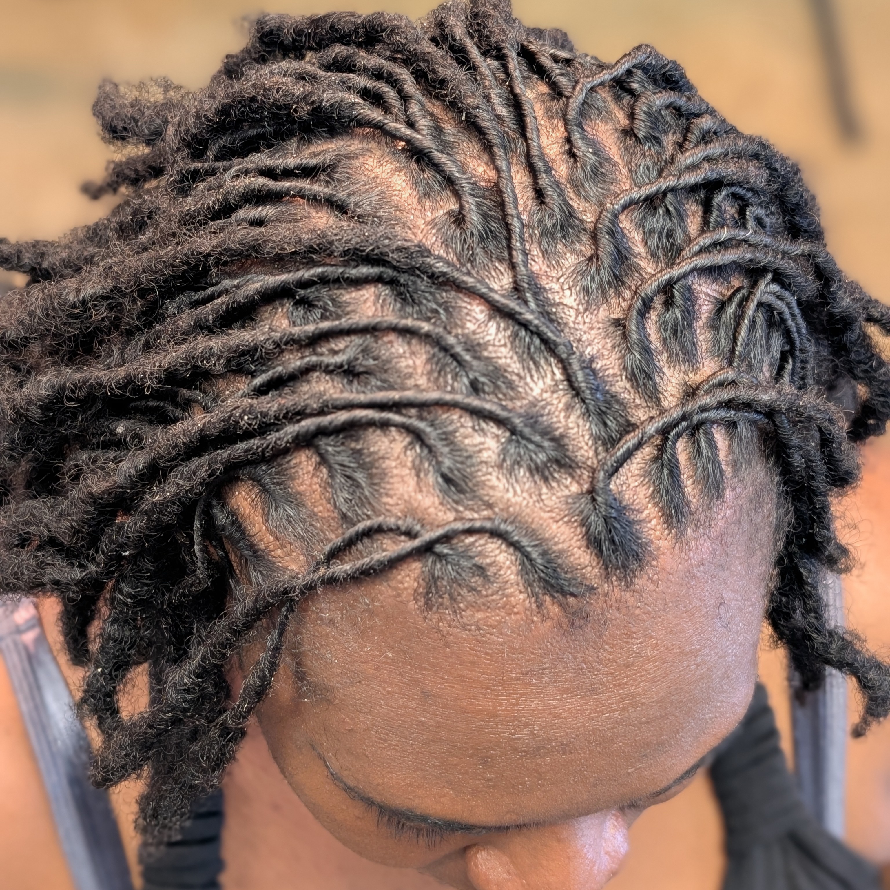 Loc Retwist at Antonio Carter in Indianapolis, IN