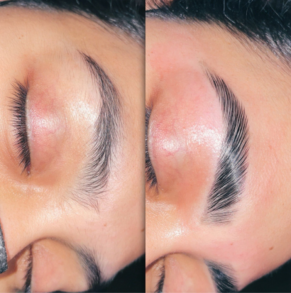 Brow Lamination — No Tint at Waxed Culture in Olmos Park, TX
