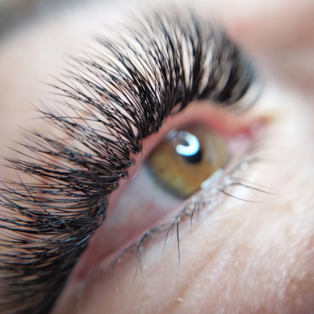 Lash Extensions - Mini Fill at The Wax & Lash Moughal in Scottsdale, AZ