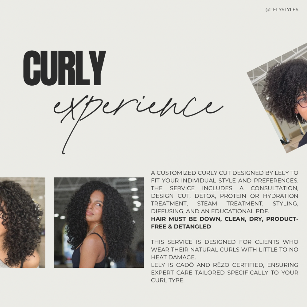 CURLY EXPERIENCE
