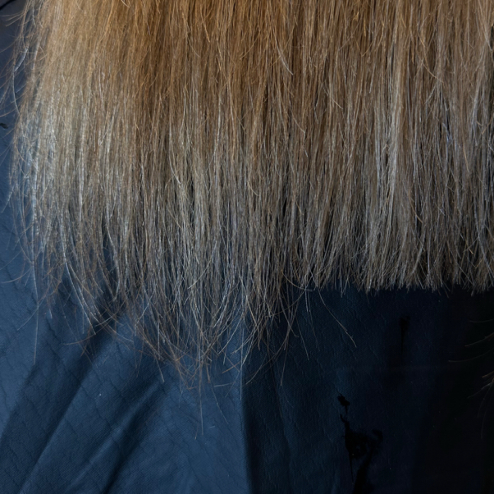 Haircut at Gabriella at Selah Salon in Tampa, FL