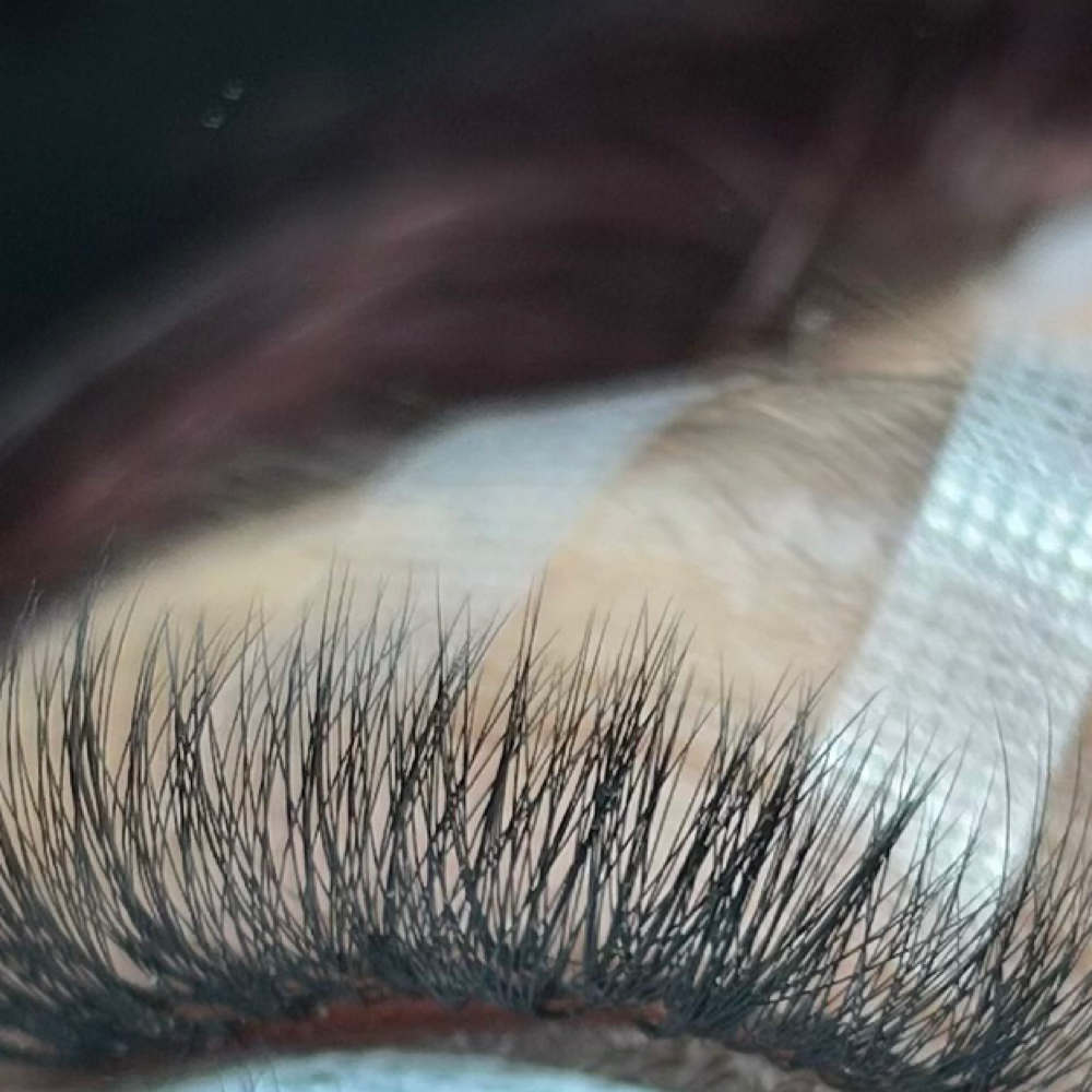 Full Volume Fill at Opulent Lash Bar in Tampa, FL