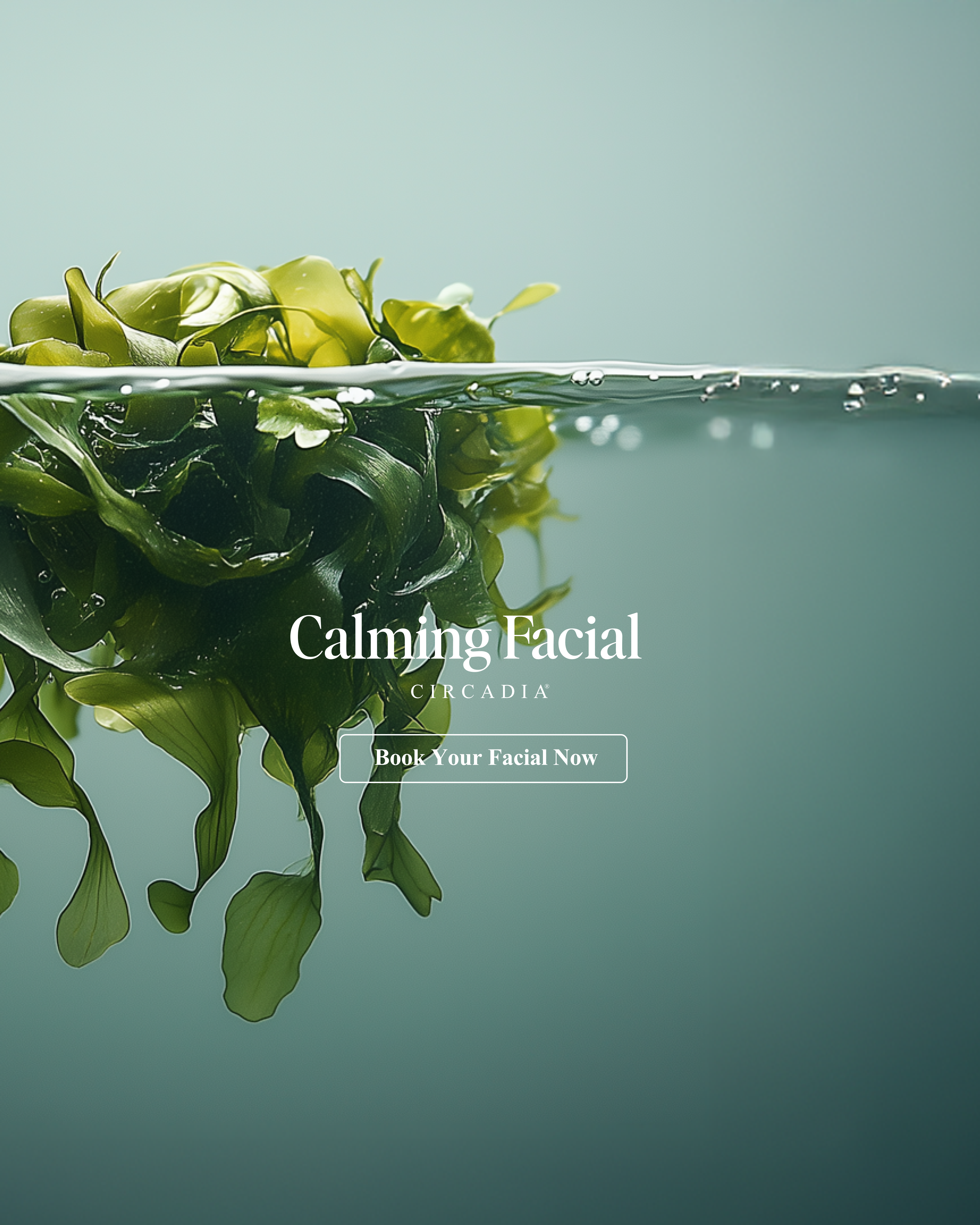 Calming Facial