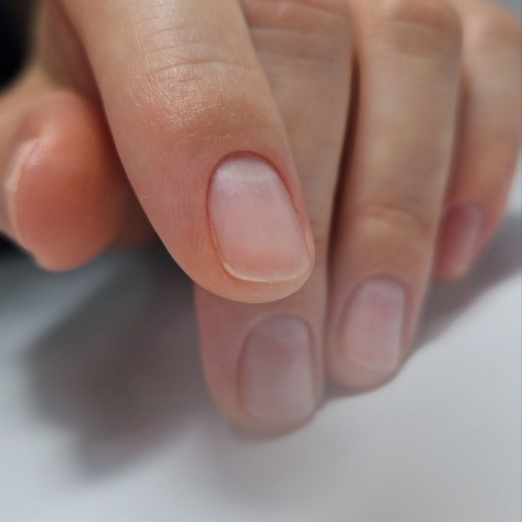 Regular Manicure at ash studio nyc in New York, NY