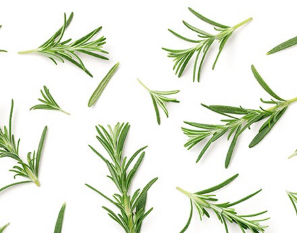 Rosemary Massage Pre-treatment