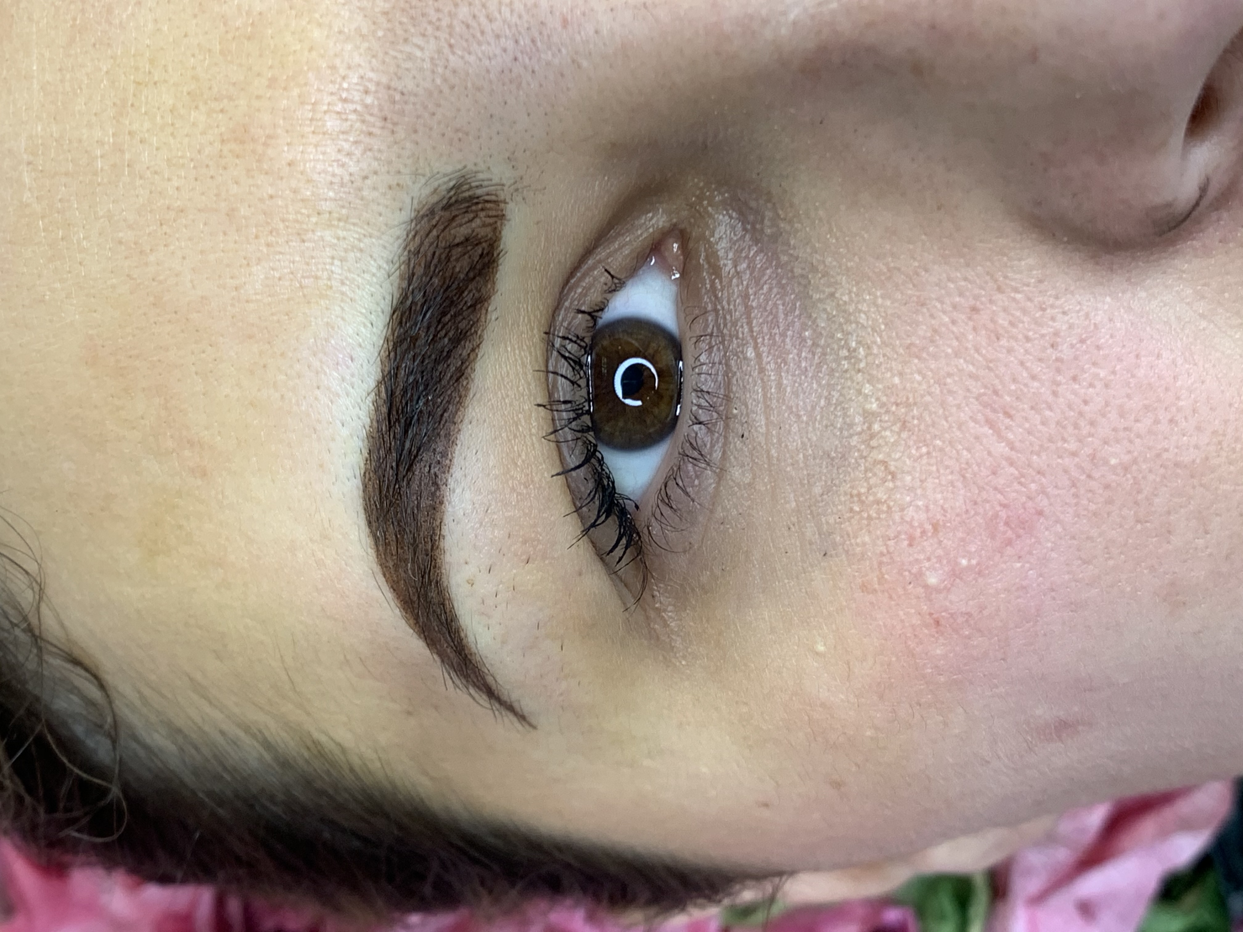 Powder Ombre Brows