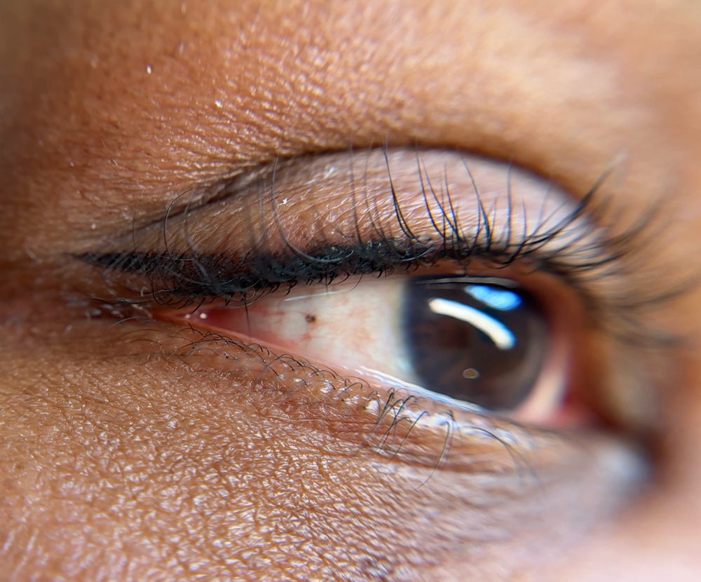 Solid Winged Eyeliner