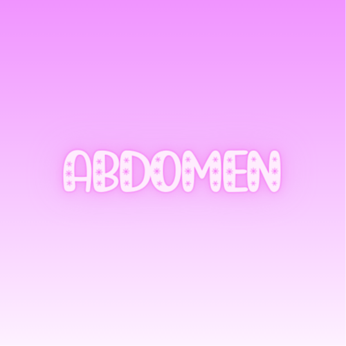Abdomen at Wax & Glow By Zara in Karnes city, TX
