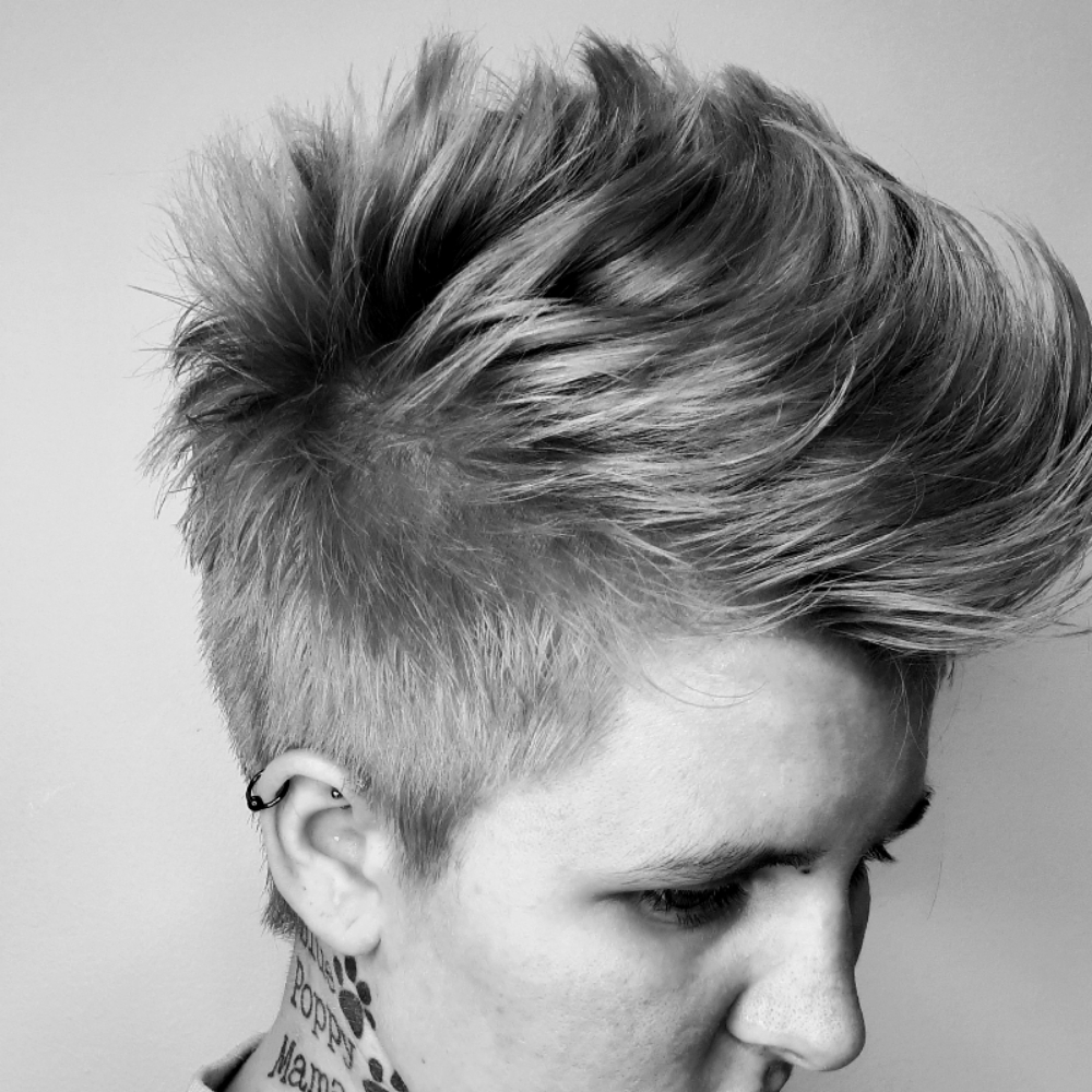 Alternative Haircut at LaFrance Studio LLC in Burnsville, MN