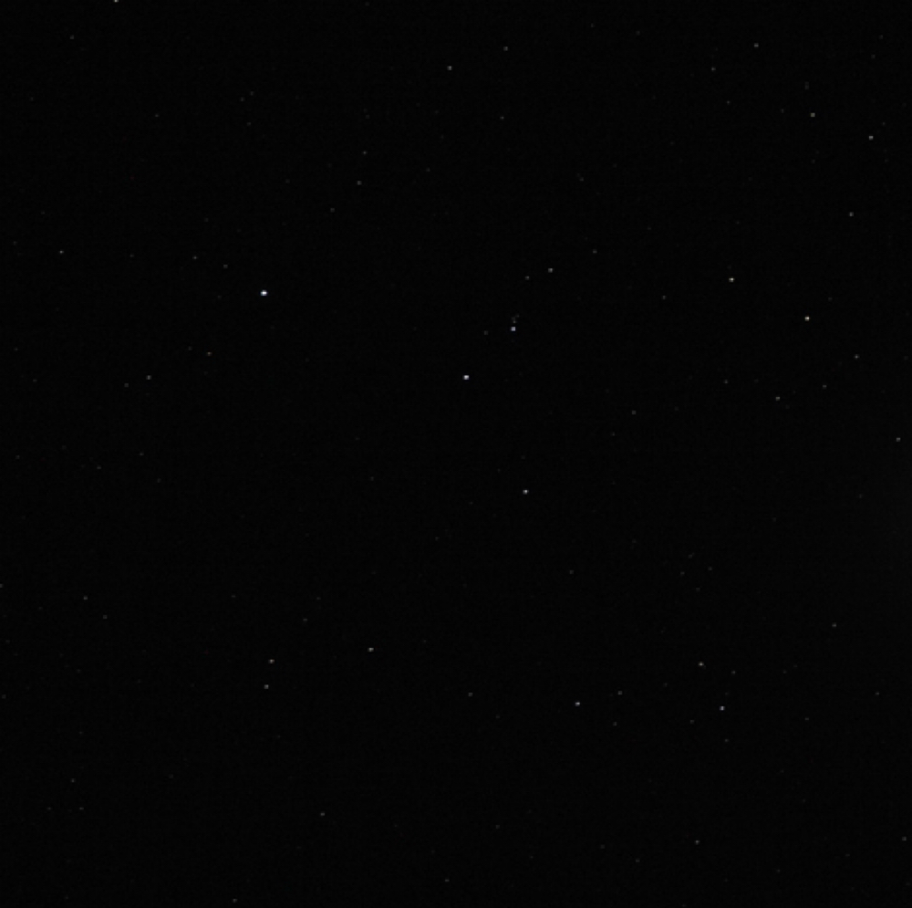 Eyebrows at Wax & Wane in Huntsville, AL