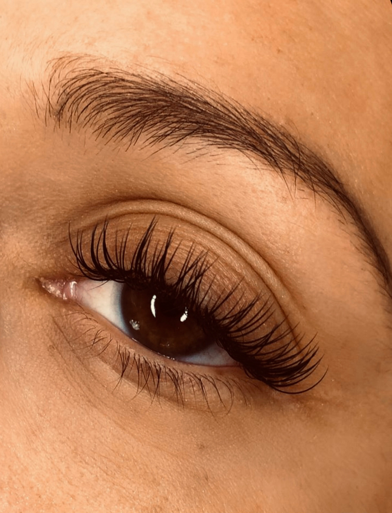 Classic Lash Fill