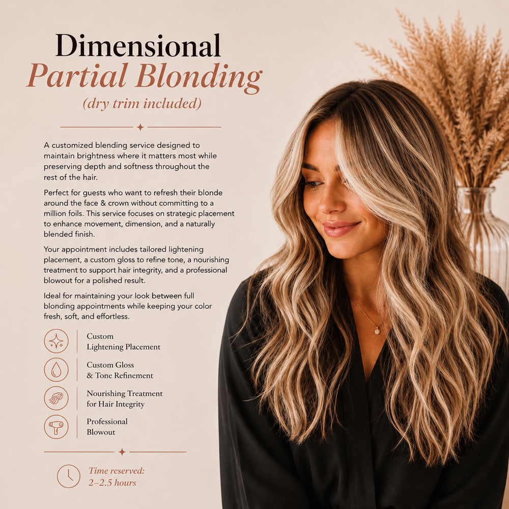 Dimensional Partial Blonding at Creative Chemistry Salon in Katy, TX