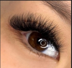 Touch Up,3 Week Volume Eyelash EXT