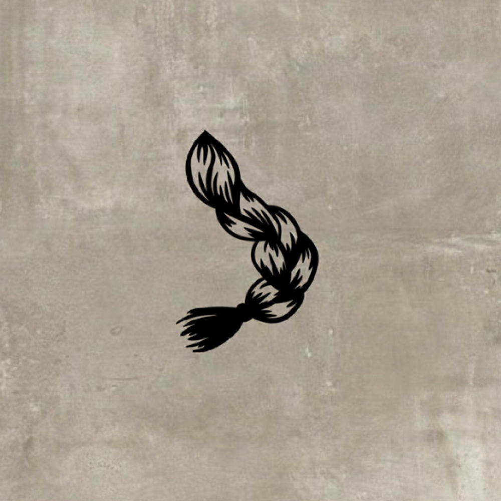 Braid at Elan Beauty Salon in Bethel Park, PA