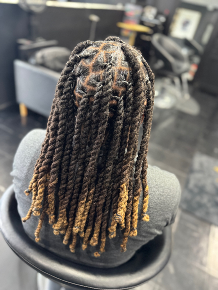 Loc Shampoo, Retwist & Style