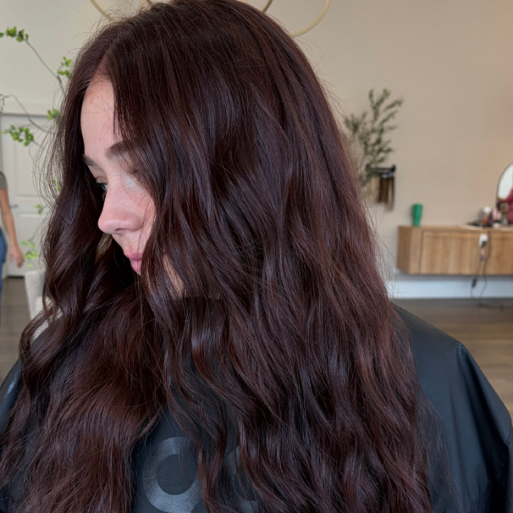 All Over Color at Hair By Hal in Pleasant Grove, UT