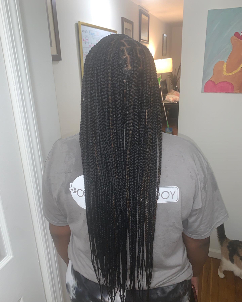 Small Knotless Braids