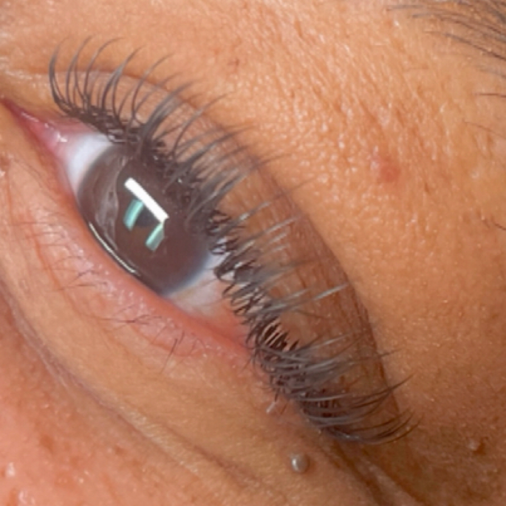 Classic Refill at Lash & Body Studio, LLC in Houston, TX