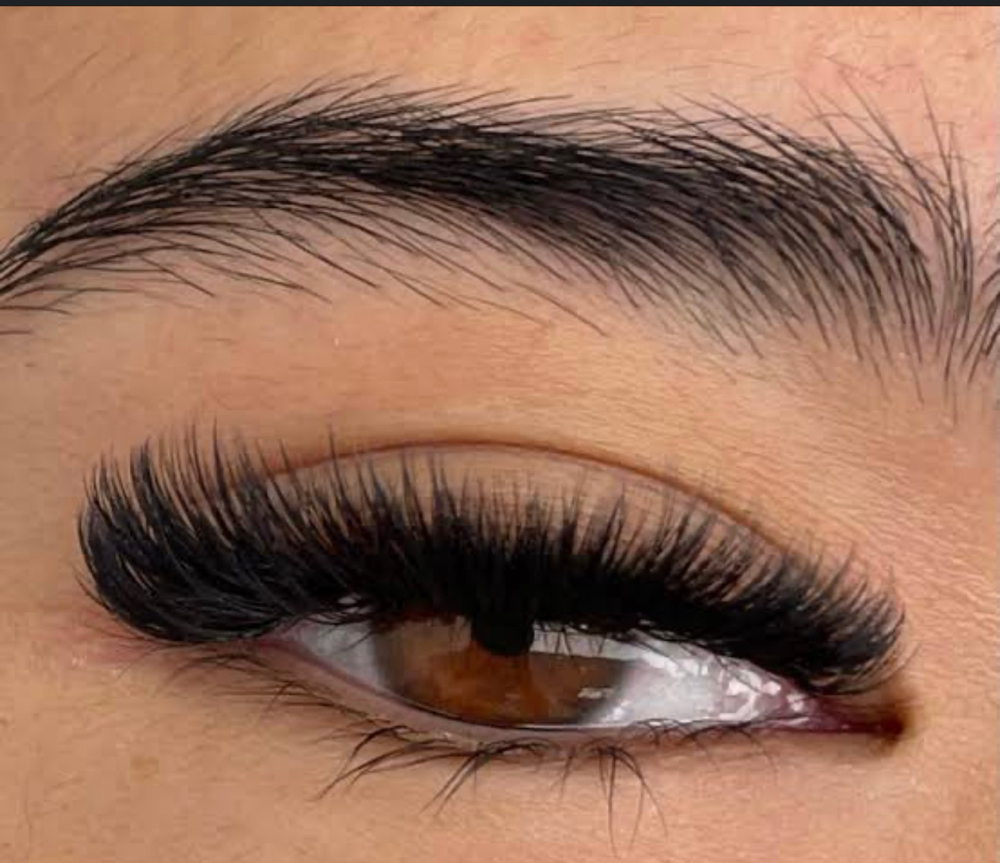 Eyelash Extensions- Mega Volume