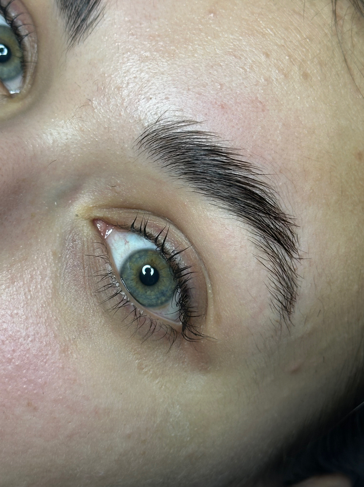 Eyebrow Lamination