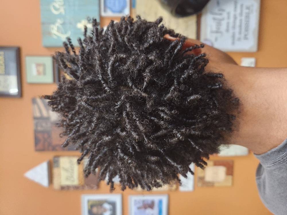 Coral Twist w/Comb