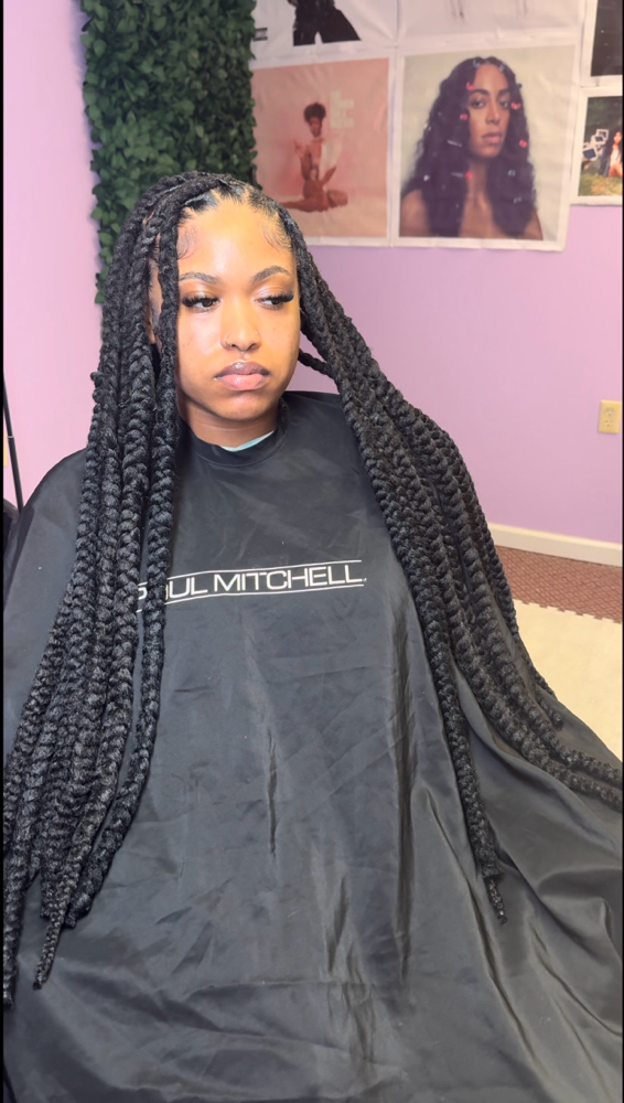 Braids Over Locs