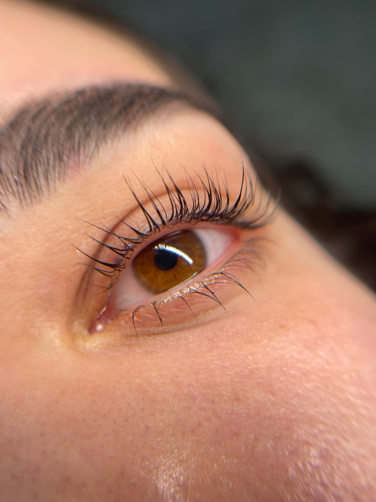 $50 Lash Lift Or Brow Lami