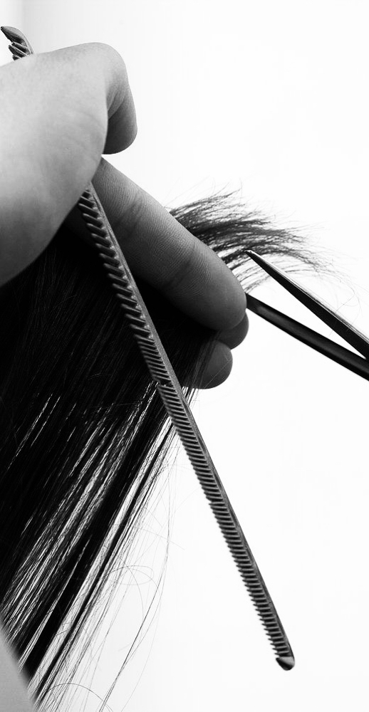 Girl’s Haircut Under 12yrs. at Hair by Lauren in fremont, OH