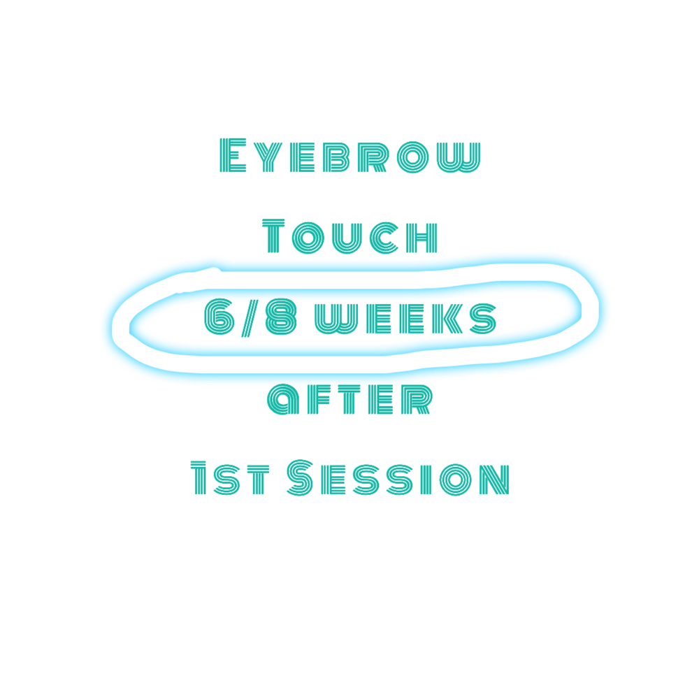 Brow Touch Up 6/8 Weeks