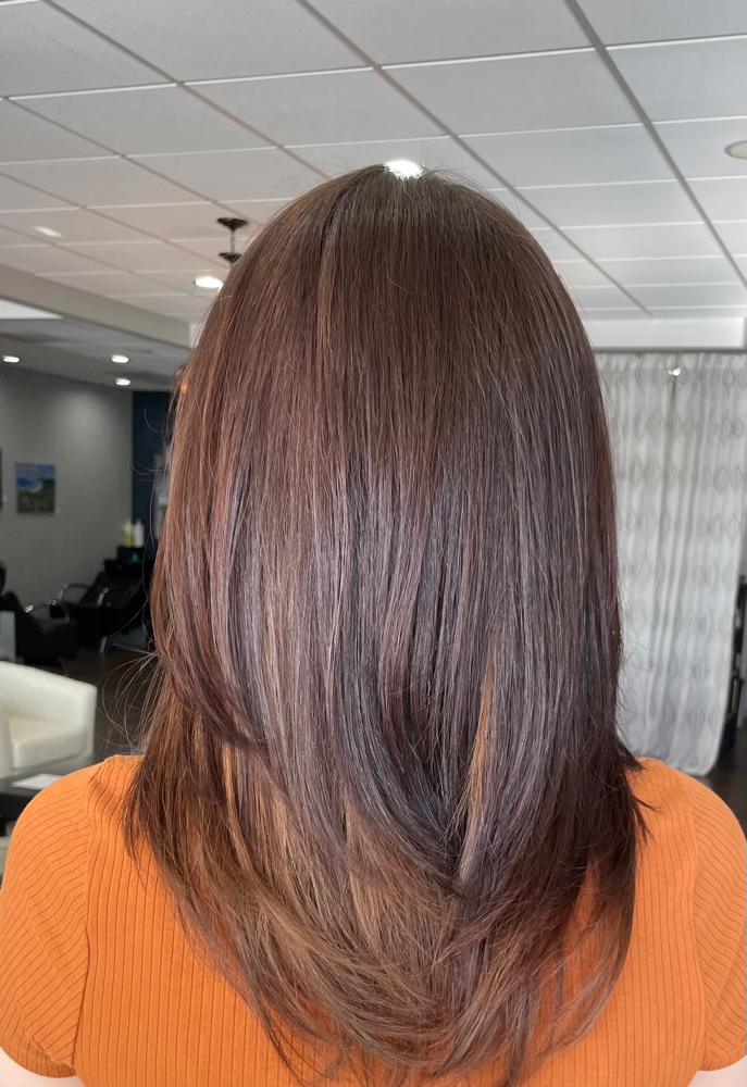 Hair Gloss/Toner at North & South Styles by Bri in Wake Forest, NC