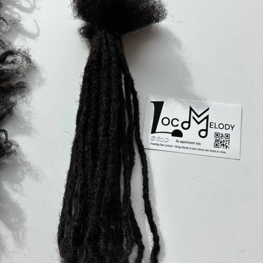 Microlocks With Extensions at EI-ECO in Las Vegas, NV