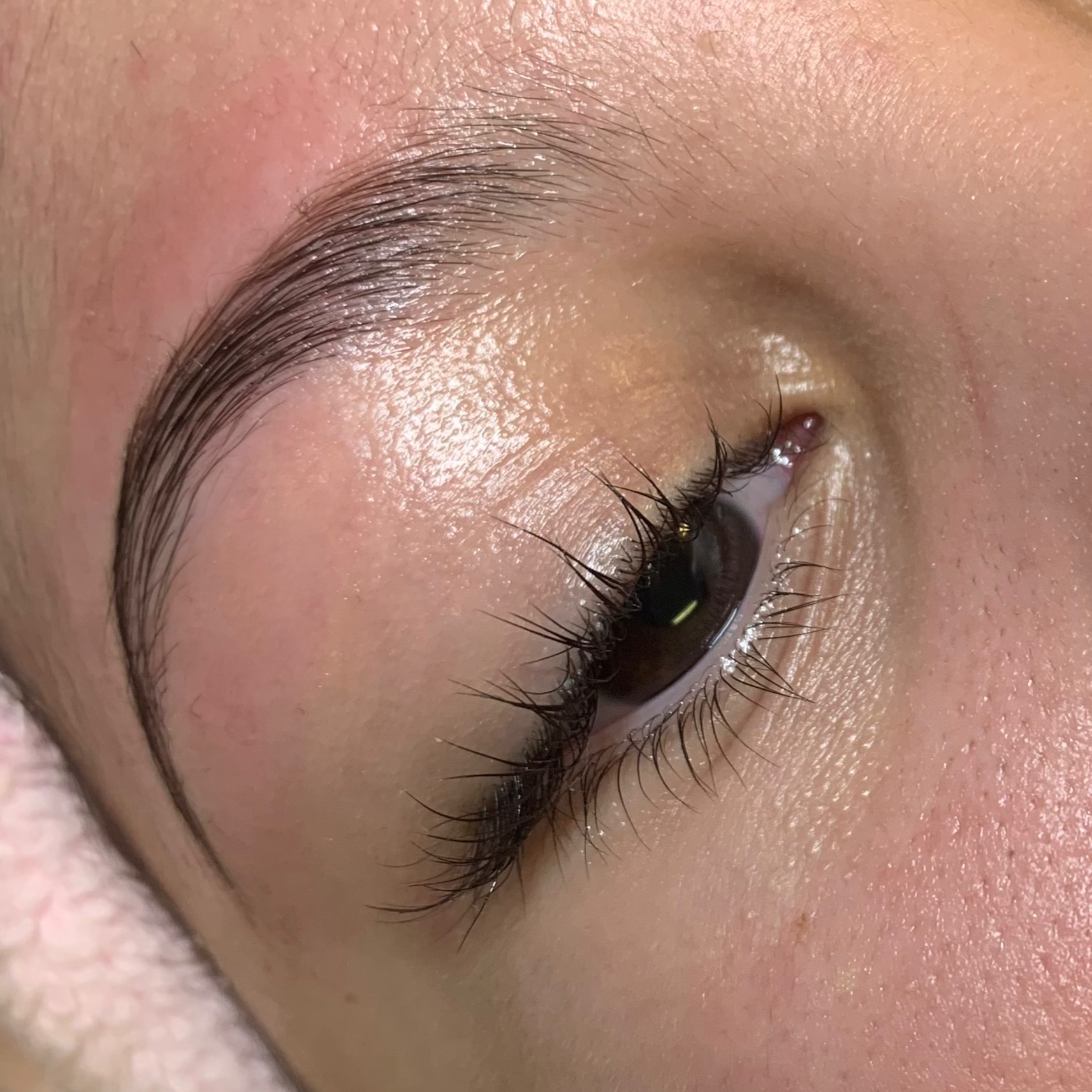 Brow Lamination