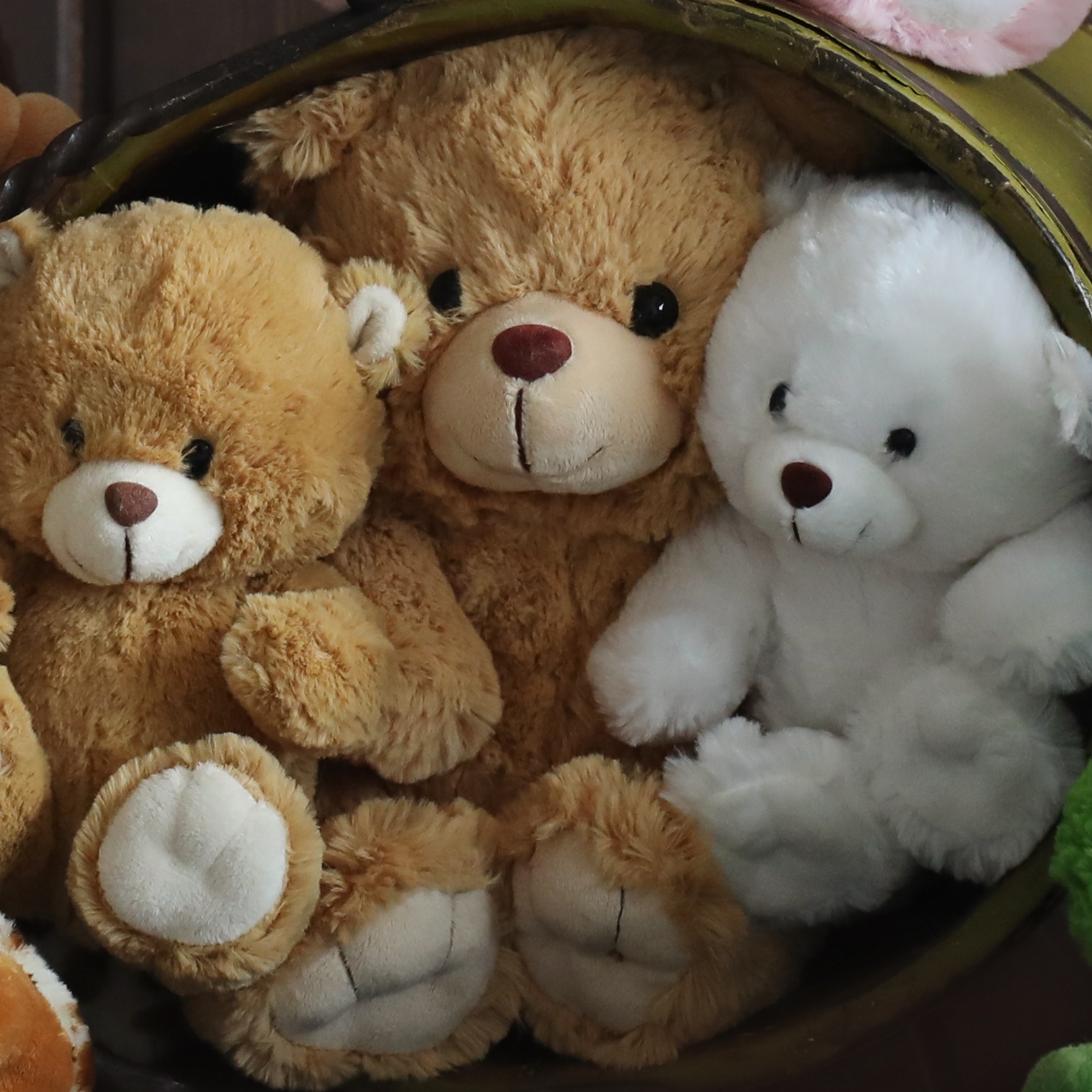 Add-On Heartbeat Mini Teddy Bear at Rancho Cucamonga 3D 4D Ultrasound by 4D Special Delivery in Rancho Cucamonga, CA