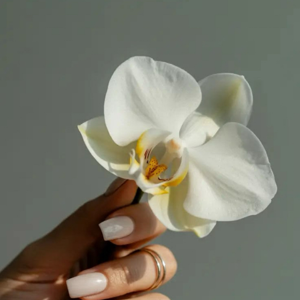 Gel Removal at Graceful Beauty Day Spa in Bentonville, AR